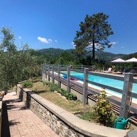 Agriturismo Il Pino San Martino in Freddana Exterior photo