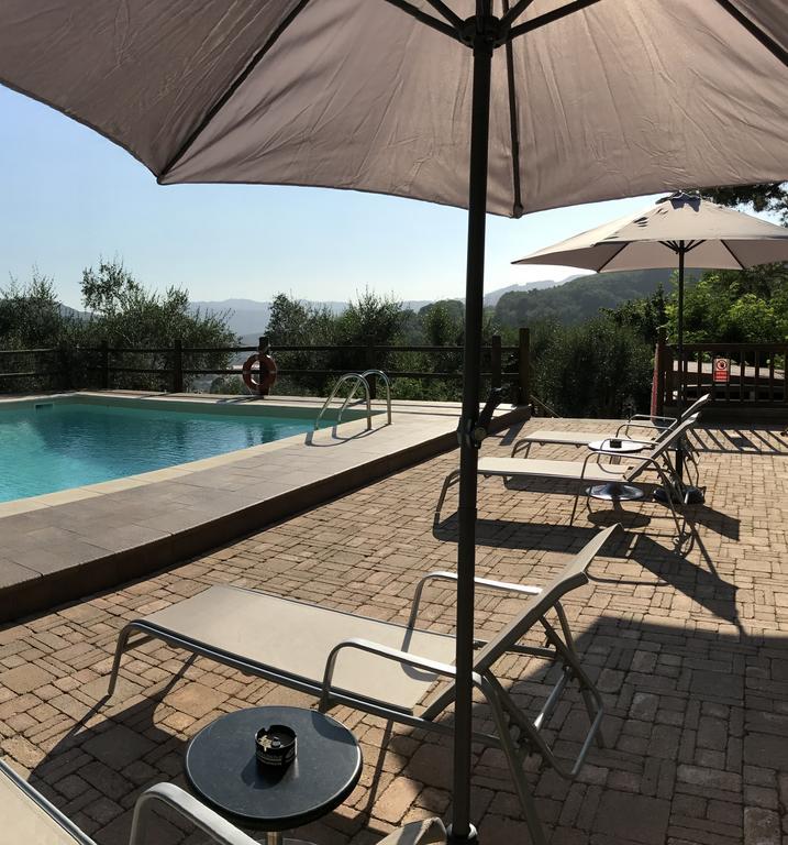 Agriturismo Il Pino San Martino in Freddana Exterior photo